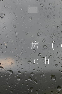 房產(chǎn)繼承給兒了怎么辦(房產(chǎn)怎么繼承給孫子)