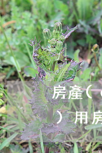房產(chǎn)繼承要交多少費(fèi)用(房產(chǎn)繼承要交多少費(fèi)用2021)