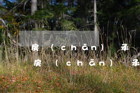 房產(chǎn)繼承訴訟后還需要公證嗎(房產(chǎn)繼承是不是必須公證)