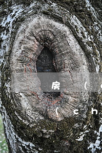 房產(chǎn)繼承訴訟請求怎么寫(房產(chǎn)繼承訴訟請求怎么寫)