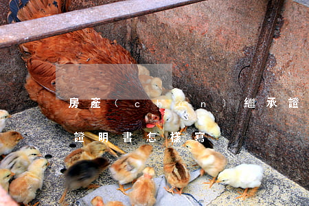 房產(chǎn)繼承證明書怎么寫(繼承人證明書怎樣寫)