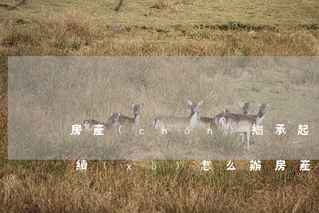 房產(chǎn)繼承起訴法院需要什么手續(xù)怎么辦(房產(chǎn)繼承起訴法院需要什么手續(xù)怎么辦)