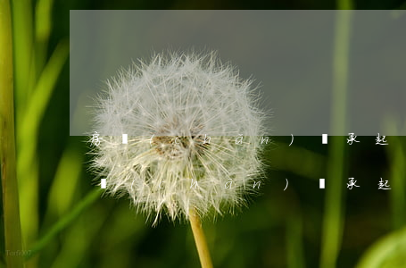 房產(chǎn)繼承起訴狀怎么寫樣板(房產(chǎn)繼承起訴狀怎么寫樣板)