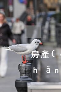 房產(chǎn)繼承過戶交稅嗎(房產(chǎn)繼承過戶交稅嗎)