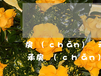 房產(chǎn)繼承過戶算一次買賣嗎(繼承房產(chǎn)再買賣過戶需要多少費用)