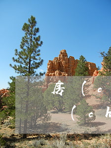房產(chǎn)繼承過戶費用高嗎(房屋遺產(chǎn)繼承費用和過戶費用哪個高)