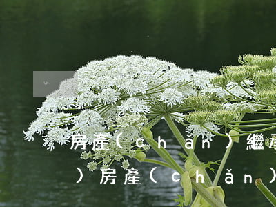 房產(chǎn)繼承需要哪些手續(xù)(房產(chǎn)繼承需要什么手續(xù))