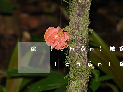 房產(chǎn)被保全了法院可以拍賣嗎(財產(chǎn)保全的房產(chǎn)被法院拍賣了)