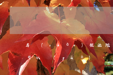 房產(chǎn)被法院凍結(jié)前可以過(guò)戶嗎(法院查封凍結(jié)房產(chǎn)多長(zhǎng)時(shí)間會(huì)解凍)