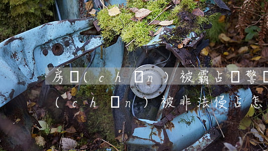 房產(chǎn)被霸占報警會處理嗎?(房產(chǎn)被非法侵占怎么辦)