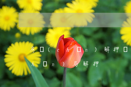 房產(chǎn)解押資料逾期(去房產(chǎn)局解押)