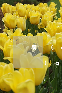 房產(chǎn)證上可以寫(xiě)幾個(gè)人的名字(房產(chǎn)證能寫(xiě)幾個(gè)人的名字)