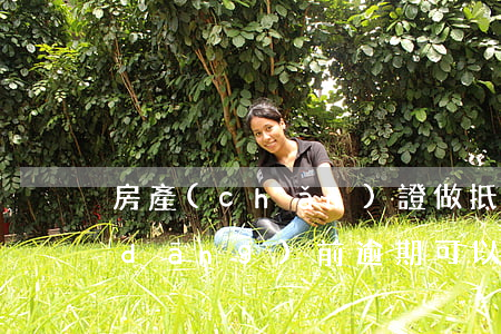 房產(chǎn)證做抵押貸款逾期(有當(dāng)前逾期可以做抵押貸款嗎)