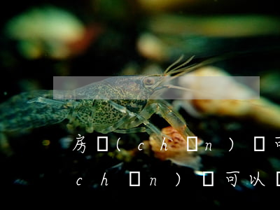 房產(chǎn)證可以貸款嗎(沒有房產(chǎn)證可以貸款嗎)
