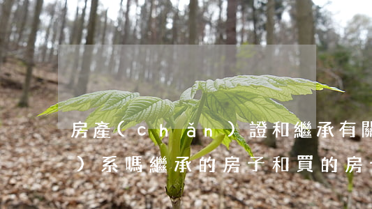 房產(chǎn)證和繼承有關(guān)系嗎(繼承的房子和買的房子房產(chǎn)證有什么不同)
