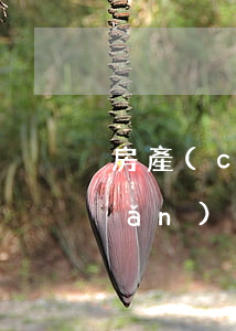 房產(chǎn)證寫誰的名字，房產(chǎn)證寫誰的名字房子就是誰的嗎