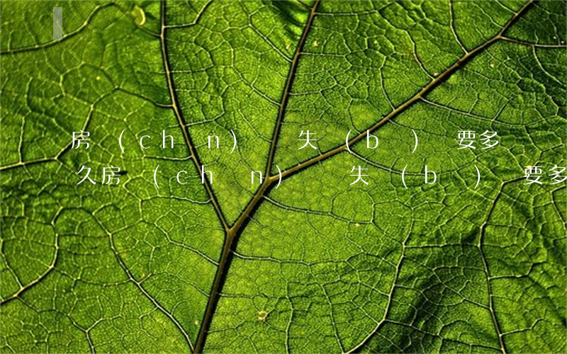 房產(chǎn)證掛失補(bǔ)辦要多久(房產(chǎn)證掛失補(bǔ)辦要多久揚(yáng)州)