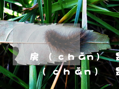房產(chǎn)證是我爸房子怎么繼承(房產(chǎn)證是老爸的名字,子女如何繼承)