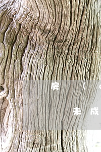 房產(chǎn)證有未成年法院可以拍賣嗎(未成年孩子名下的房產(chǎn)會被執(zhí)行拍賣)
