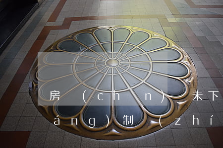 房產(chǎn)證未下法院可以強(qiáng)制執(zhí)行嗎(強(qiáng)制執(zhí)行有房產(chǎn),法院不執(zhí)行)