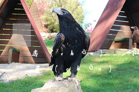 房產(chǎn)證沒下來可以訴訟更名嗎(房產(chǎn)證沒下來可以變更名字嗎?)