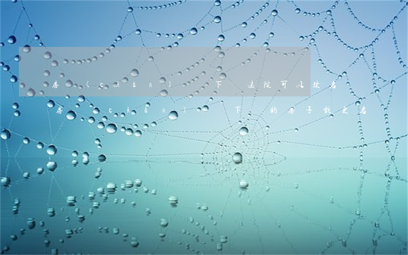 房產(chǎn)證沒下來法院可以改名嗎(房產(chǎn)證沒下來的房子能更名嗎)