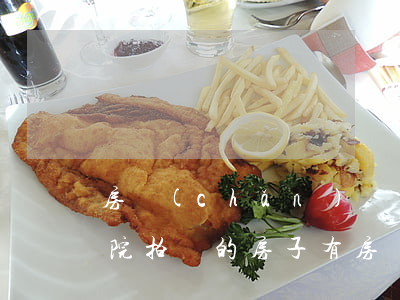 房產(chǎn)證綠本法院可以拍賣嗎(法院拍賣的房子有房產(chǎn)證嗎)