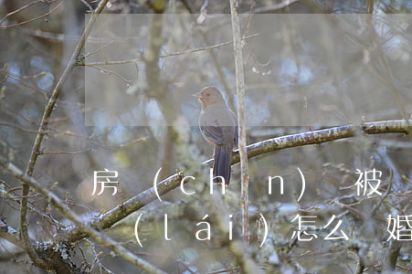 房產(chǎn)證被對(duì)方藏起來(lái)怎么離婚(起訴離婚戶口本被對(duì)方藏起來(lái)了怎么辦)