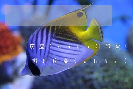 房產(chǎn)證費(fèi)用(商用房辦理房產(chǎn)證費(fèi)用)
