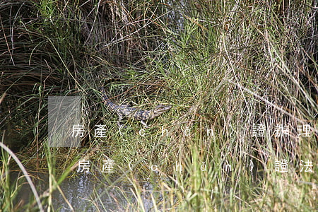 房產(chǎn)證辦理逾期律師函(逾期辦房產(chǎn)證法律如何規(guī)定的)