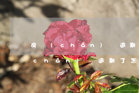 房產(chǎn)證逾期了怎么起訴（房產(chǎn)證逾期了怎么起訴）