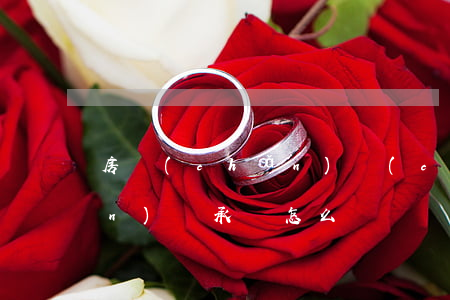 房產(chǎn)財(cái)產(chǎn)繼承書怎么寫