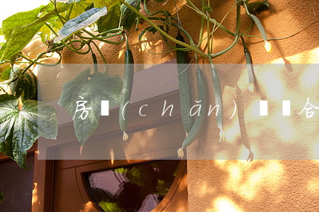 房產(chǎn)買賣合同