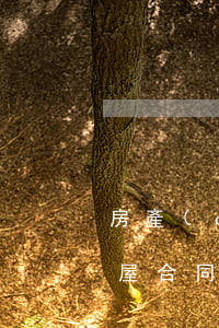 房產(chǎn)買賣合同糾紛起訴(買賣房屋合同糾紛起訴范文)