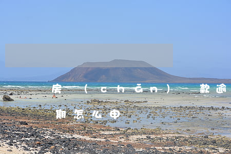 房產(chǎn)貸款逾期怎么辦理(房貸逾期怎么申訴)