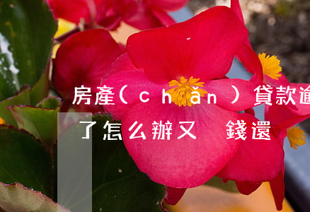 房產(chǎn)貸款逾期未還期(房貸逾期了怎么辦又沒錢還)