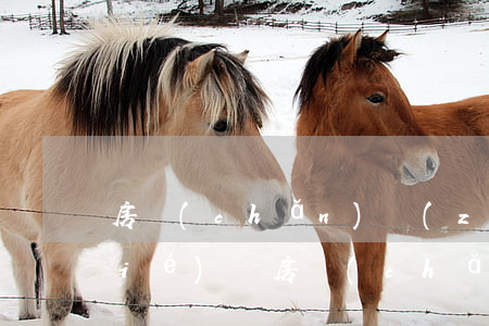 房產(chǎn)贈(zèng)與協(xié)議(房產(chǎn)贈(zèng)與協(xié)議)