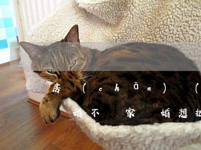 房產(chǎn)轉(zhuǎn)給兒子離婚不離家(離婚想把房子轉(zhuǎn)到孩子名下可以嗎?)