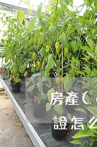 房產(chǎn)辦繼承房產(chǎn)證怎么辦理(房產(chǎn)繼承需要怎么辦理)