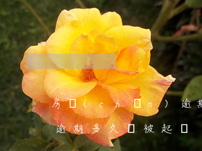 房產(chǎn)逾期什么時候起訴-房款逾期多久會被起訴