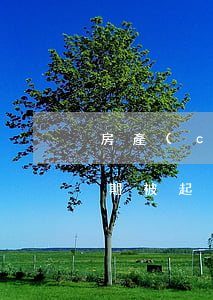 房產(chǎn)逾期起訴能勝訴嗎(房貸逾期被起訴能撤訴嗎)