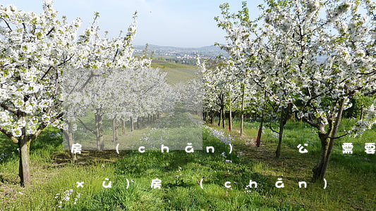 房產(chǎn)過戶公證需要什么手續(xù)（房產(chǎn)過戶公證需要什么手續(xù)）