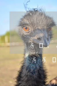 房產(chǎn)過戶可以委托律師辦理嗎(房屋過戶可以委托律師辦理嗎)