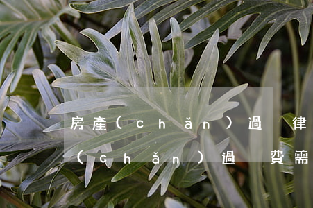 房產(chǎn)過戶律師費用是多少(房產(chǎn)過戶費需要多少錢)