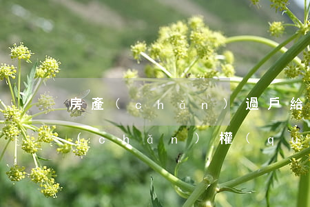 房產(chǎn)過戶給子女不花錢辦法(產(chǎn)權(quán)過戶給子女費用)