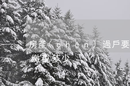 房產(chǎn)過戶要交多少稅(房屋過戶繳稅多少)
