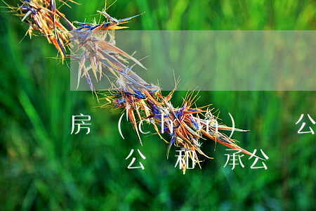 房產(chǎn)遺囑公證需要繼承公證嗎(遺囑公證和繼承公證)