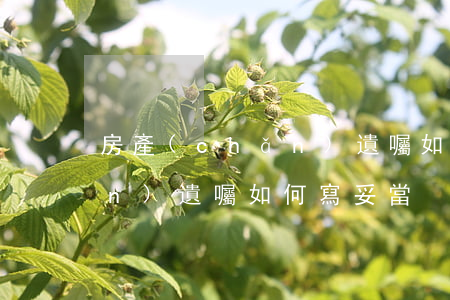 房產(chǎn)遺囑如何寫(房產(chǎn)遺囑如何寫妥當)