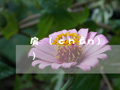 房產(chǎn)遺囑繼承怎么寫(xiě)