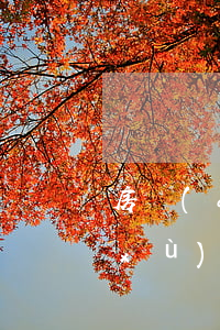 房產(chǎn)遺囑繼承需要什么手續(xù)(遺囑繼承房產(chǎn)過戶需要什么材料)